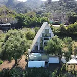 Olive Frame Argassi